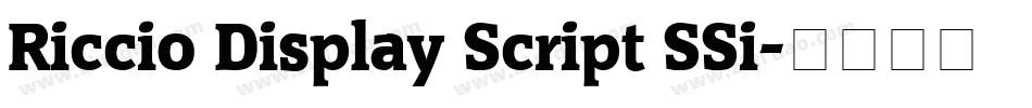 Riccio Display Script SSi字体转换